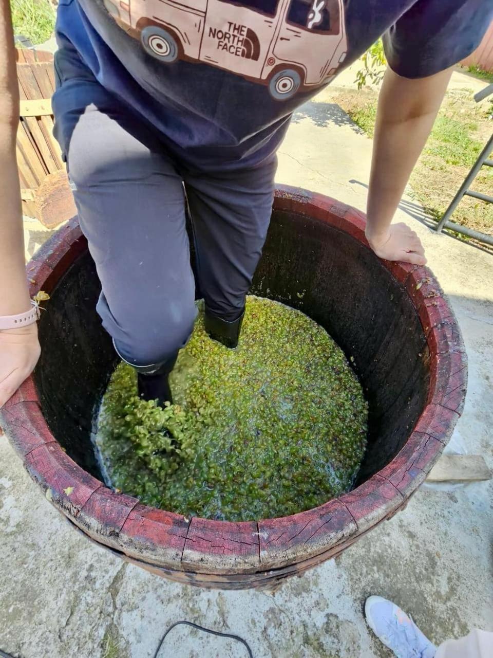 Guesthause Bagdati Dış mekan fotoğraf